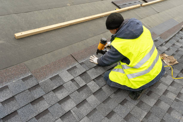 Best Roof Gutter Cleaning  in Logansport, LA
