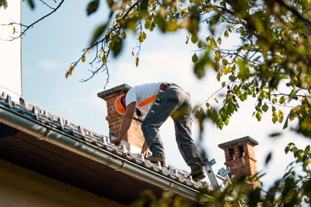 Best Gutter Installation and Roofing  in Logansport, LA